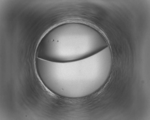 X0000084001533200702160743