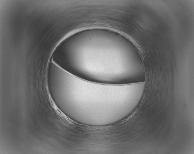 X0000084001534200702160743