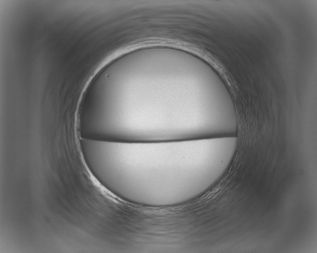 X0000084001535200702160743