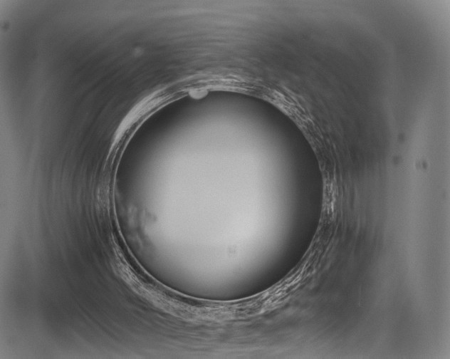 X0000084000004200702161144