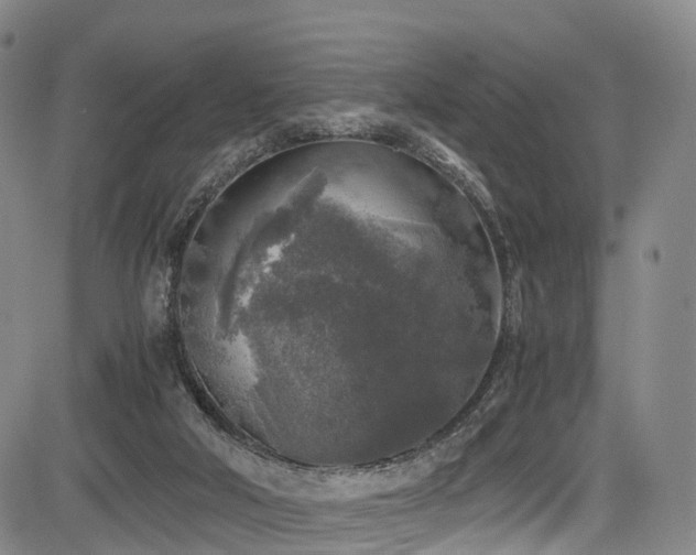 X0000084000018200702161144