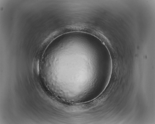 X0000084000020200702161144