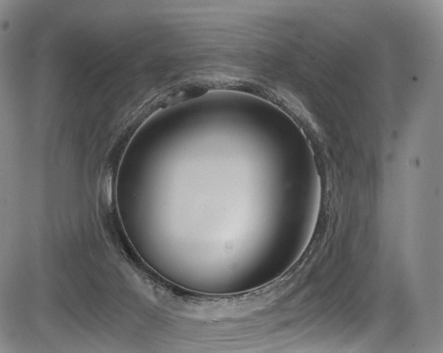 X0000084000021200702161144