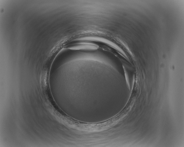 X0000084000023200702161144
