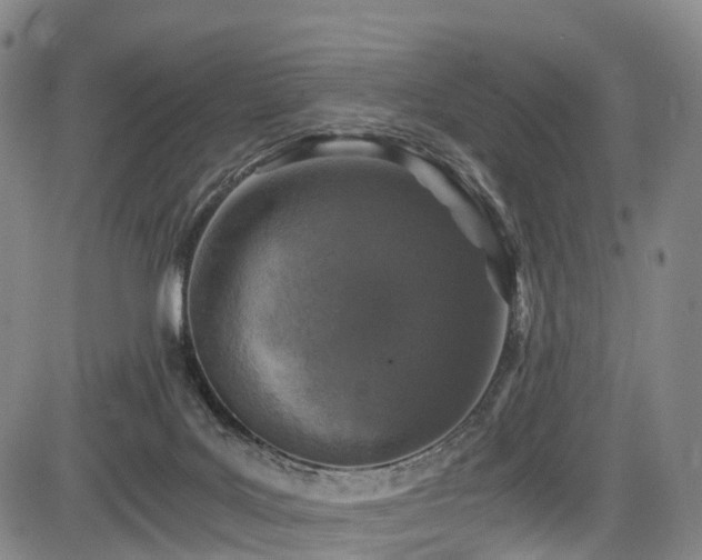X0000084000027200702161144
