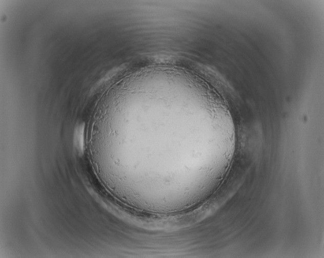 X0000084000028200702161144