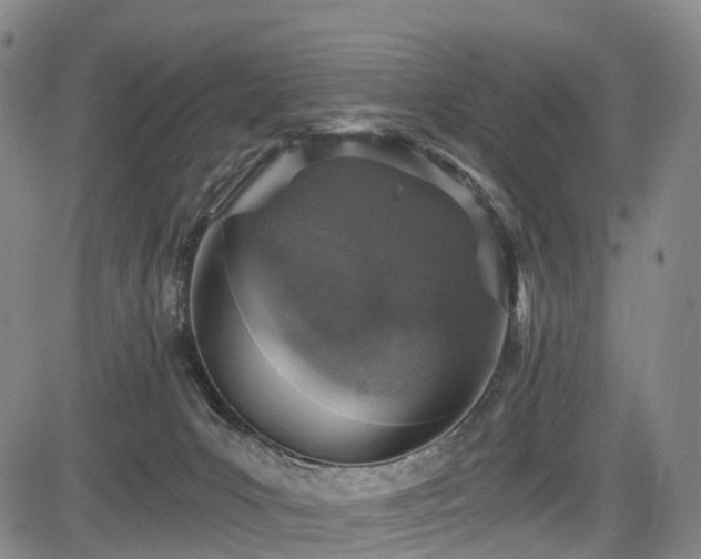 X0000084000031200702161144