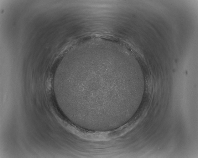 X0000084000032200702161144