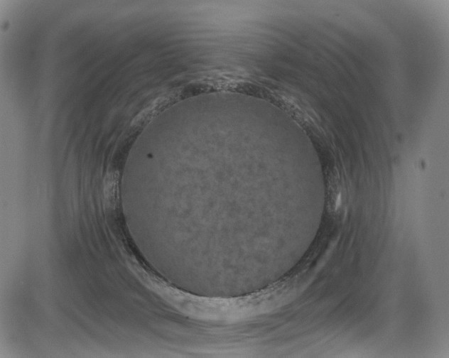 X0000084000034200702161144