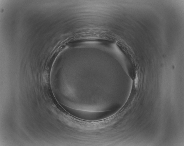 X0000084000035200702161144