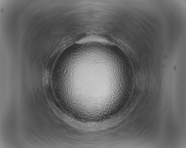 X0000084000038200702161143