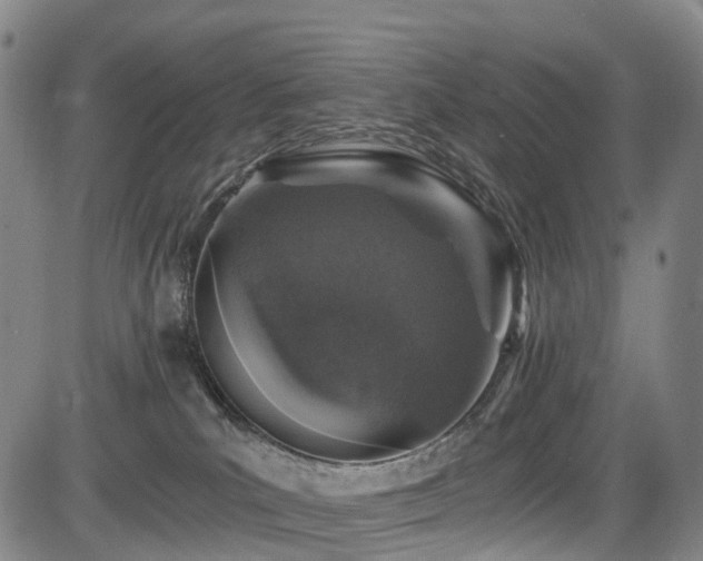 X0000084000039200702161143