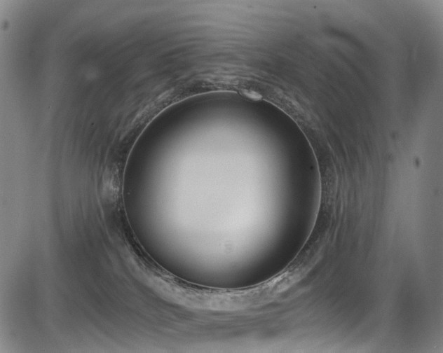 X0000084000040200702161143