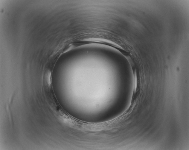 X0000084000041200702161143