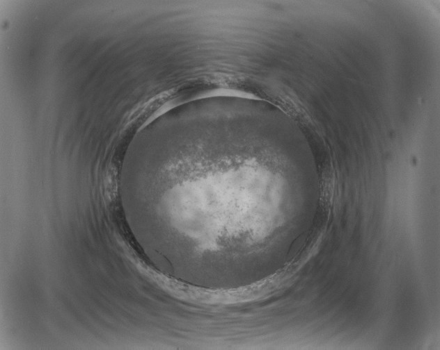 X0000084000043200702161143