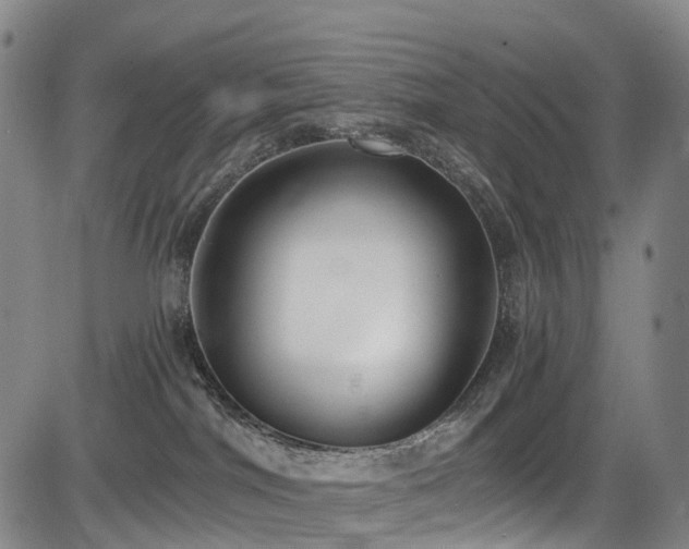 X0000084000044200702161143