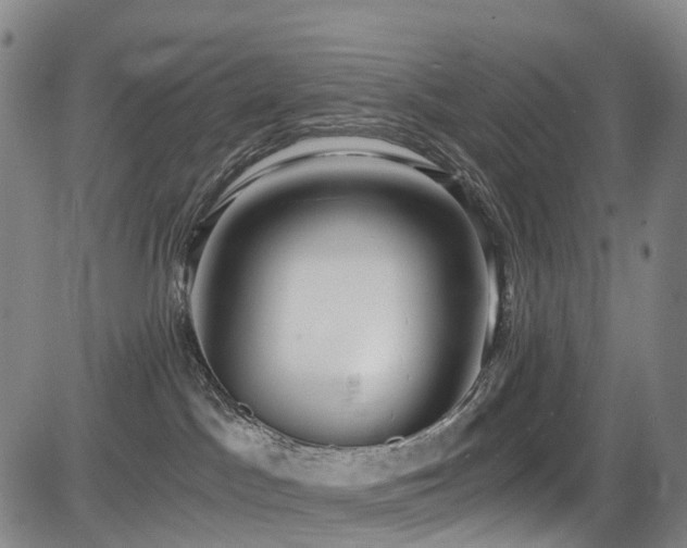 X0000084000045200702161143