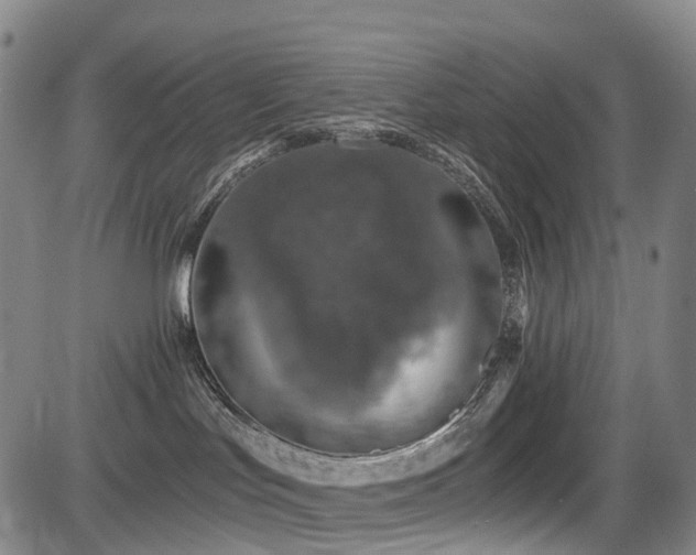 X0000084000047200702161143