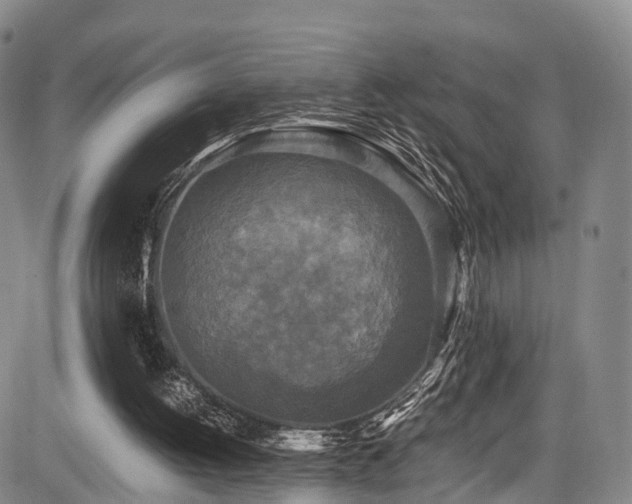 X0000084000052200702161143
