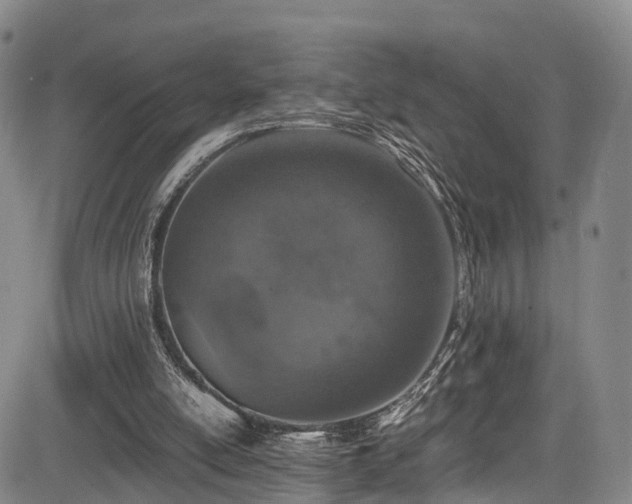 X0000084000054200702161143