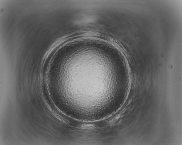 X0000084000055200702161143