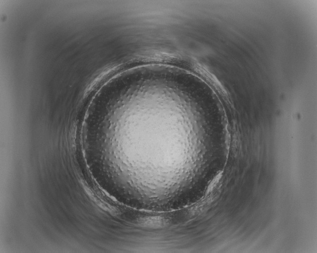 X0000084000058200702161143