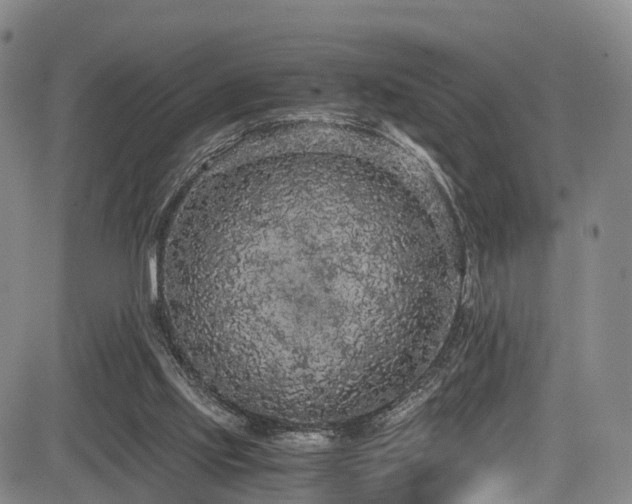 X0000084000061200702161143