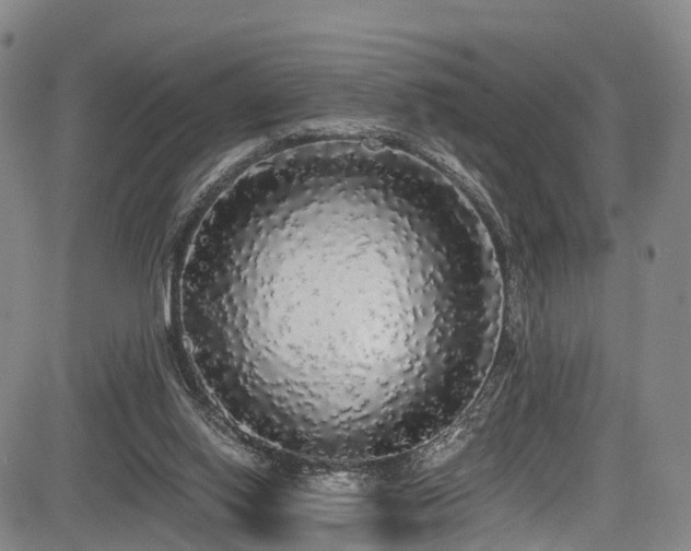 X0000084000062200702161143