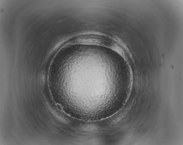 X0000084000063200702161143