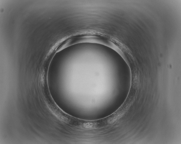X0000084000064200702161143
