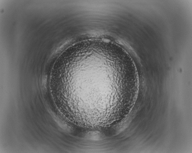 X0000084000066200702161143