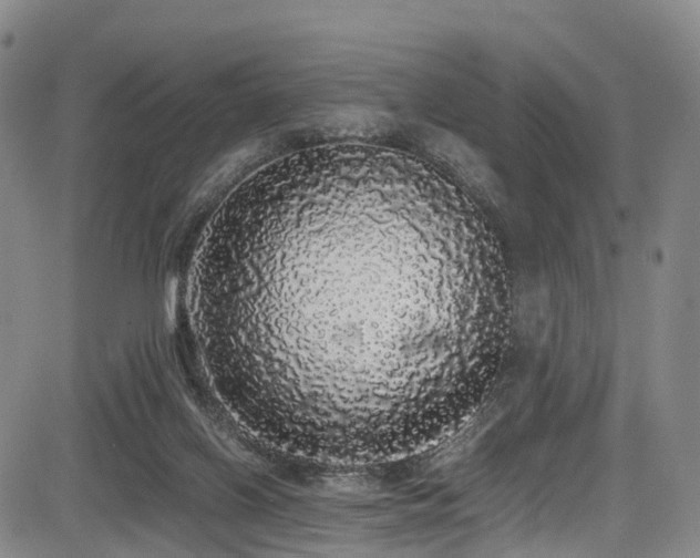 X0000084000070200702161143