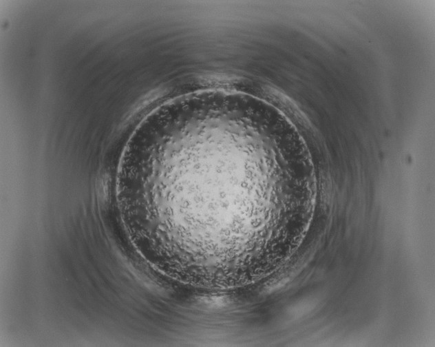 X0000084000071200702161143
