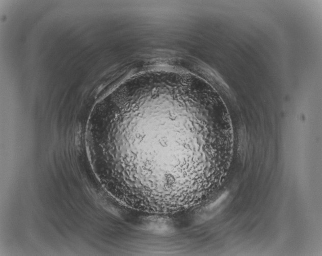 X0000084000073200702161143