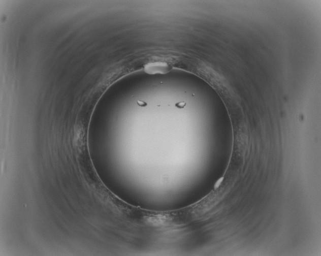 X0000084000079200702161143