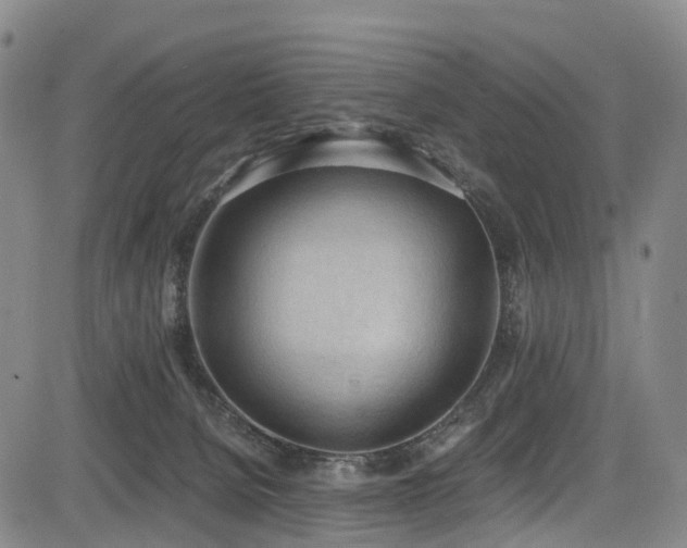 X0000084000080200702161143