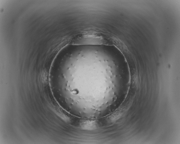 X0000084000081200702161143
