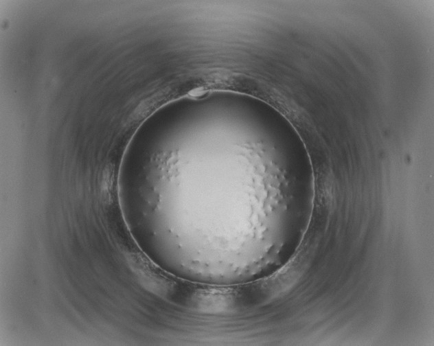 X0000084000082200702161143