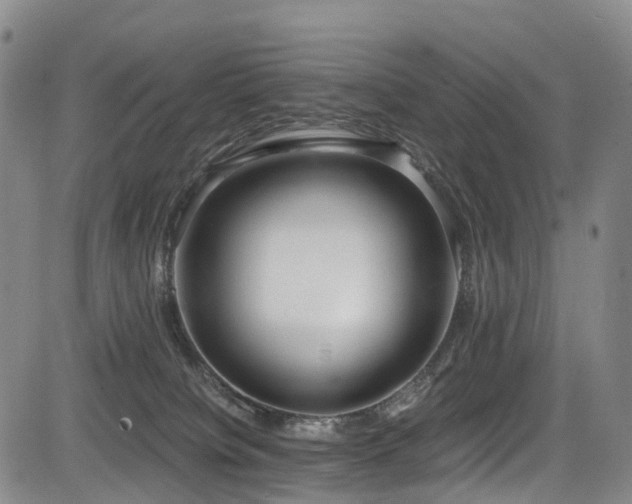 X0000084000084200702161143