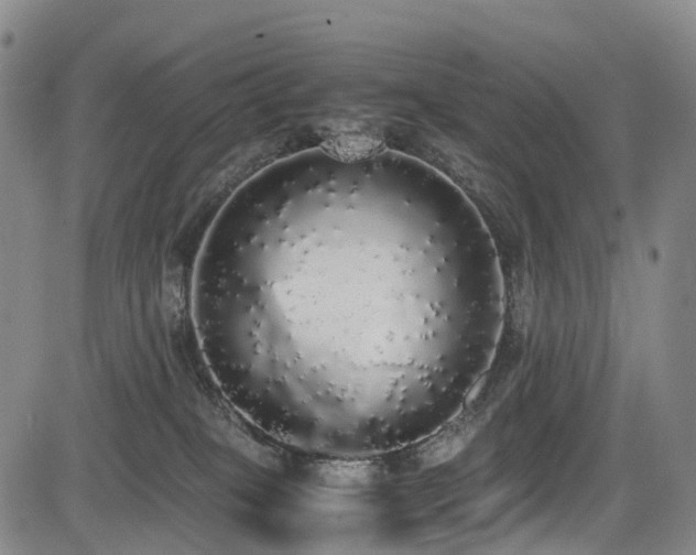 X0000084000085200702161143