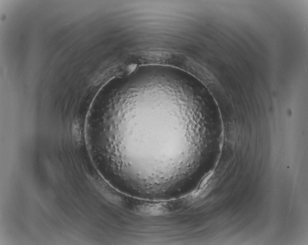 X0000084000086200702161143