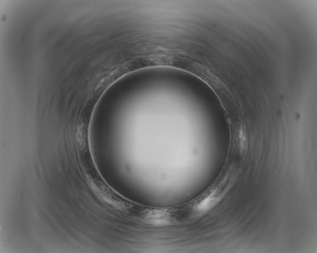 X0000084000088200702161143