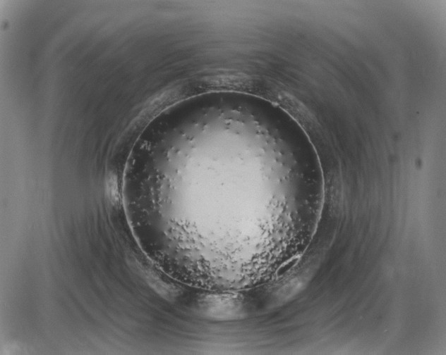 X0000084000089200702161143