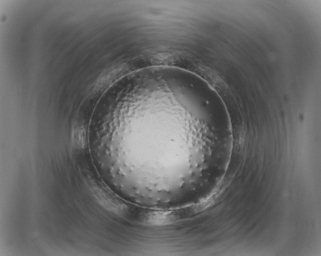 X0000084000090200702161143
