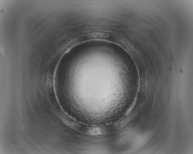 X0000084000091200702161143
