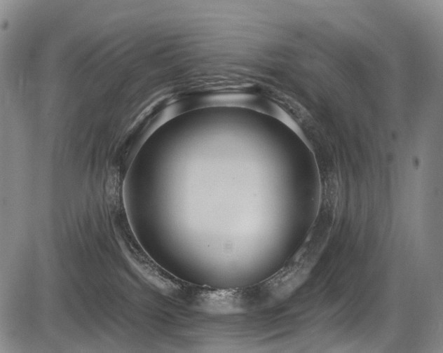X0000084000092200702161143