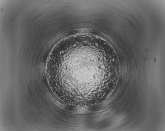 X0000084000093200702161143
