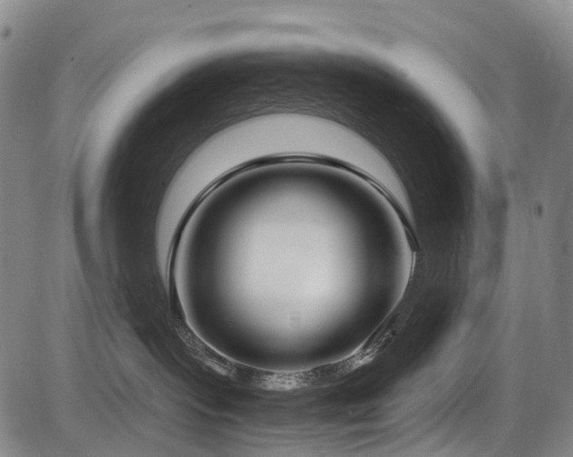 X0000084000095200702161143