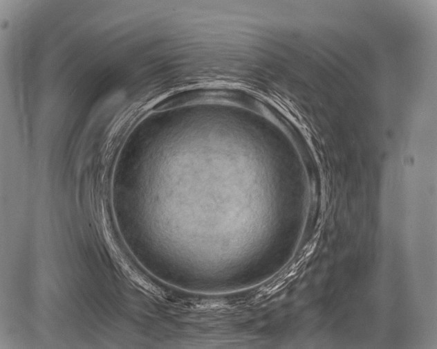 X0000084000097200702161143