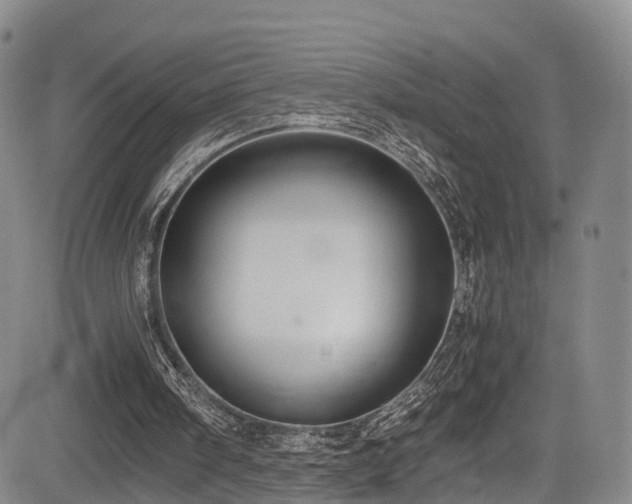 X0000084000098200702161143